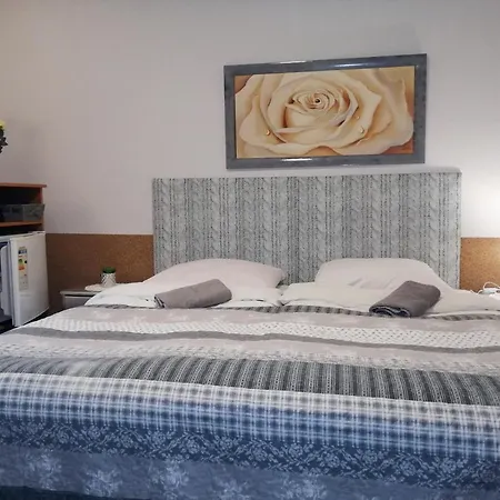 Willa Jaworowy Zdroj Guest house Wisla