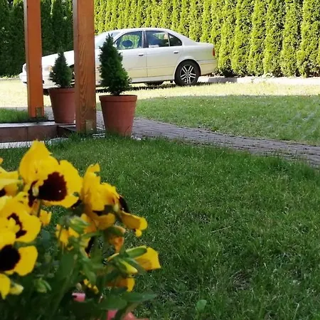 Pensjonat Willa Jaworowy Zdrój Wisła