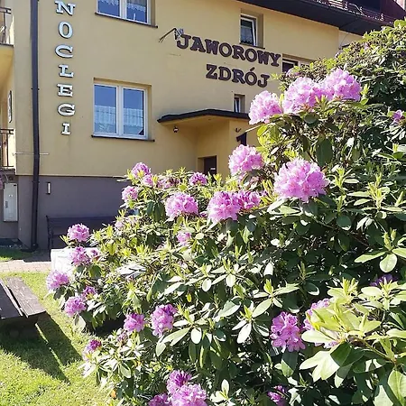 Pensjonat Willa Jaworowy Zdrój Wisła