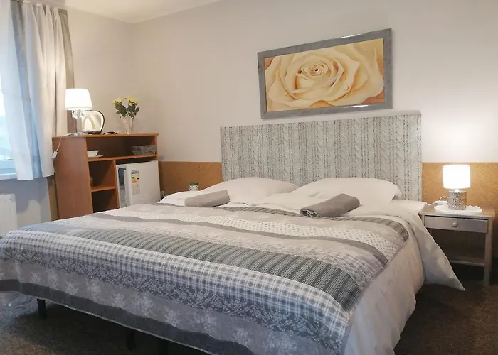 Guest house Willa Jaworowy Zdroj *