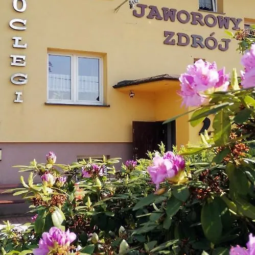 Willa Jaworowy Zdroj Wisla