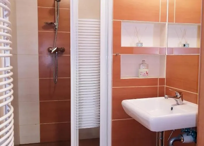 Willa Jaworowy Zdroj *