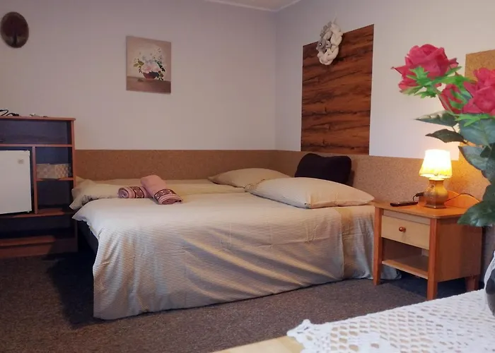 Willa Jaworowy Zdrój Wisła