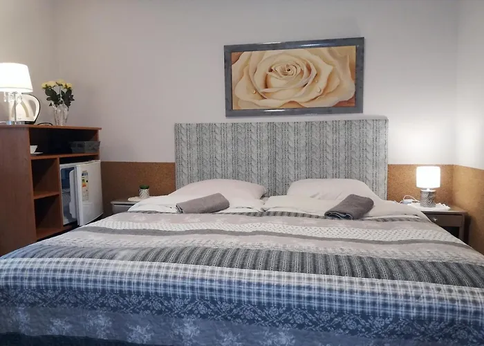 Willa Jaworowy Zdrój Pensjonat Wisła